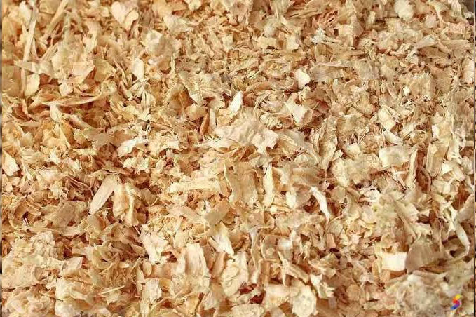 Wood Sawdust
