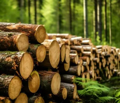 wood